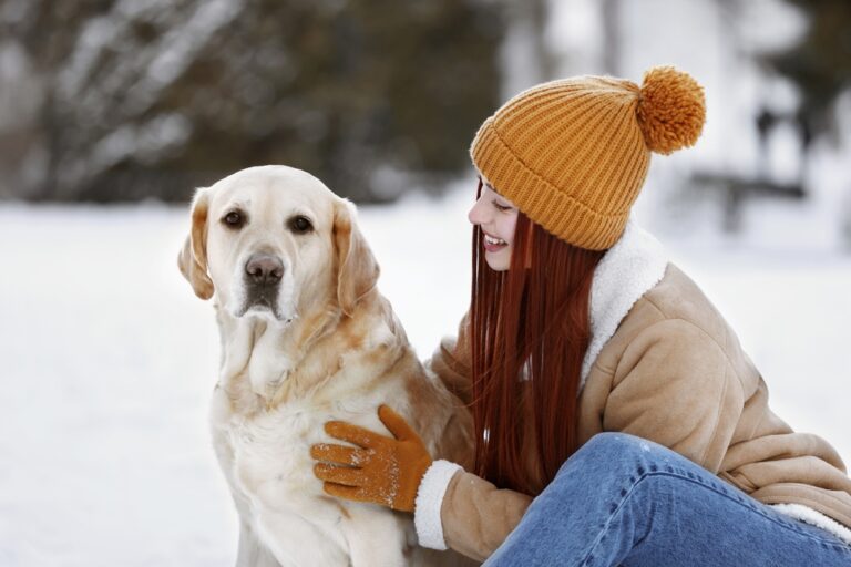 Read more about the article Labrador Retriever Health & Care Guide