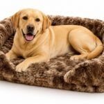 Why Proper Orthopedic Beds Matter for Labrador Retrievers