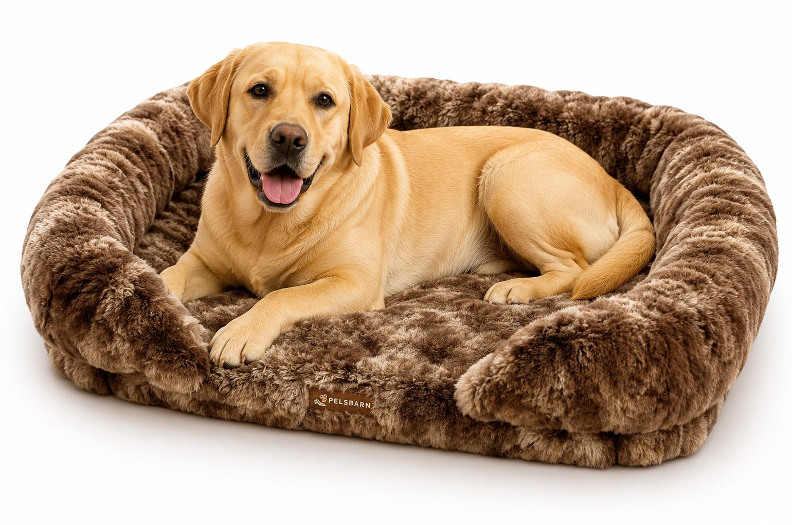 You are currently viewing Why Proper Orthopedic Beds Matter for Labrador Retrievers